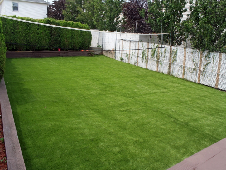 Synthetic Grass Cost Corning, Ohio Roof Top, Backyards