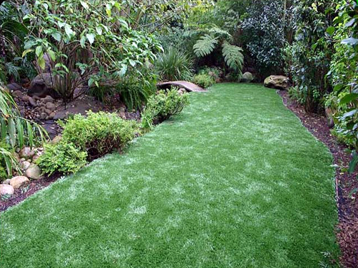 Synthetic Grass Cost Jeromesville, Ohio Landscaping Business, Backyard Design