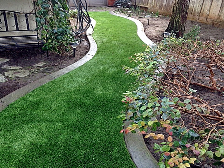 Synthetic Grass Cost Wilmington, Ohio Gardeners, Backyard Designs