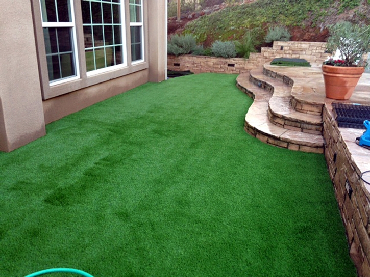 Synthetic Grass Cynthiana, Ohio Landscape Ideas, Backyard Garden Ideas