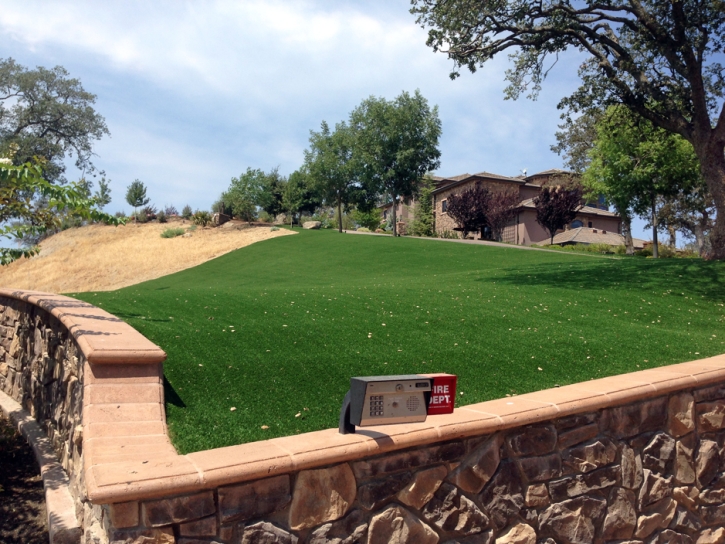 Synthetic Grass Ludlow Falls, Ohio Roof Top, Small Front Yard Landscaping