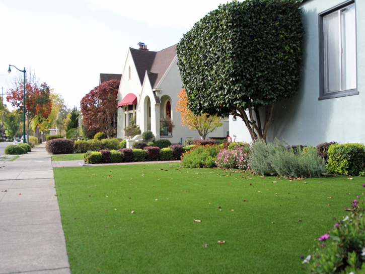 Synthetic Grass Marion, Ohio Garden Ideas, Front Yard