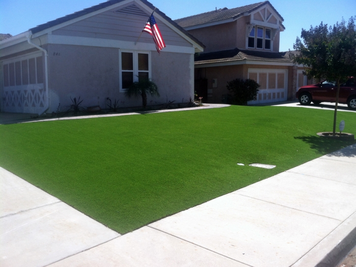 Synthetic Grass Rushsylvania, Ohio Roof Top, Front Yard Landscaping Ideas