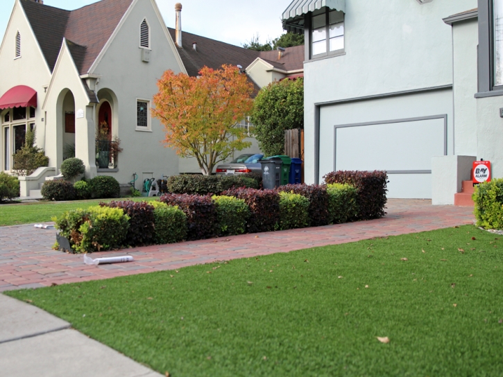 Synthetic Lawn Adelphi, Ohio Lawn And Garden, Front Yard Ideas