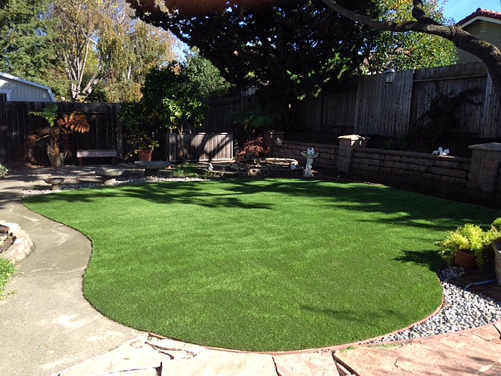 Synthetic Lawn North Robinson, Ohio Lawn And Garden, Backyard Garden Ideas