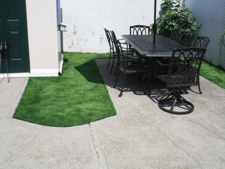 Synthetic Lawn Rosemount, Ohio Landscape Ideas, Backyard Design