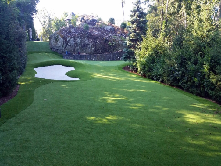 Synthetic Turf Adelphi, Ohio Putting Green Grass, Commercial Landscape