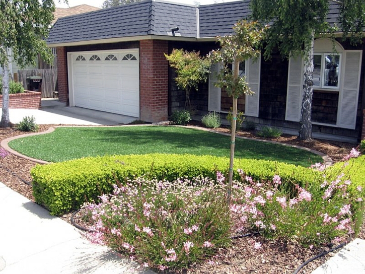 Synthetic Turf Corning, Ohio Gardeners, Small Front Yard Landscaping