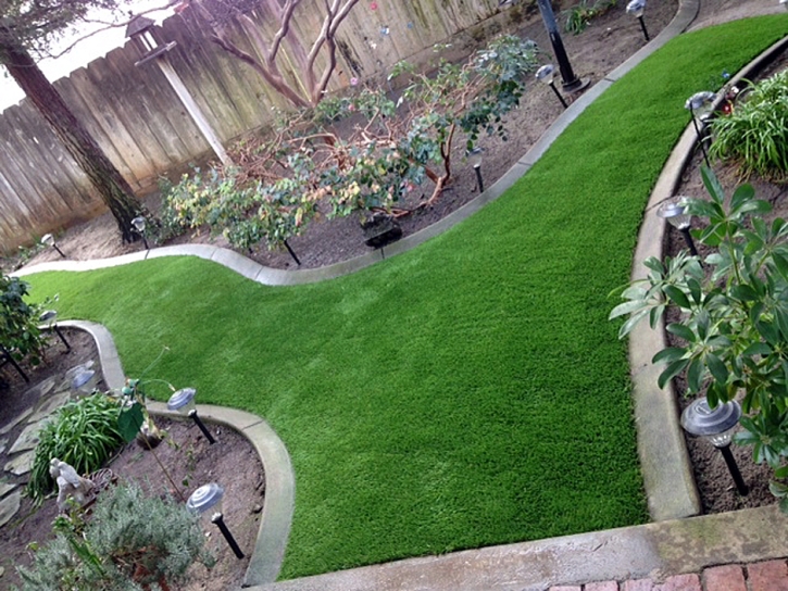 Synthetic Turf Glouster, Ohio Roof Top, Backyard Landscaping