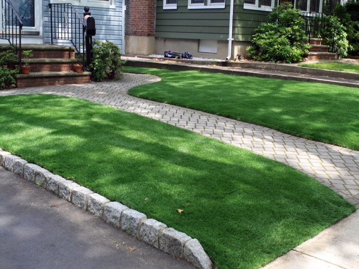 Synthetic Turf Nellie, Ohio Lawn And Garden, Front Yard Ideas