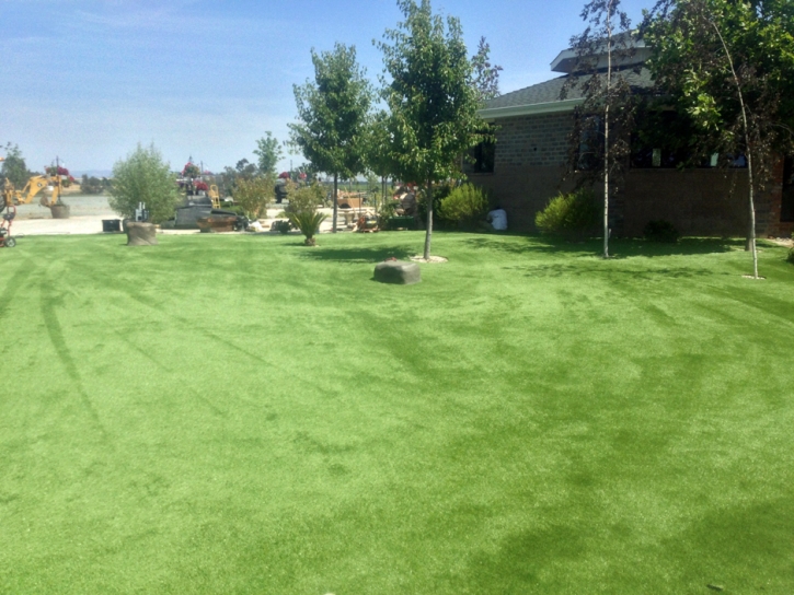 Synthetic Turf Supplier Cardington, Ohio Indoor Dog Park, Parks