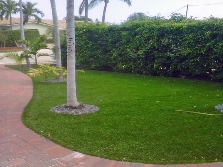 Synthetic Turf Supplier Dresden, Ohio Backyard Deck Ideas, Front Yard Ideas