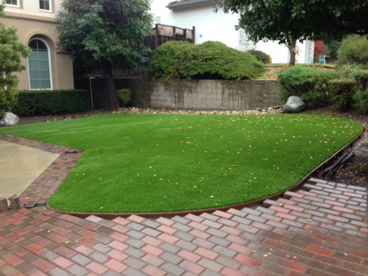 Turf Grass Amsterdam, Ohio Lawn And Garden, Front Yard