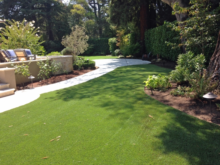 Turf Grass Bourneville, Ohio Rooftop, Backyard Landscape Ideas