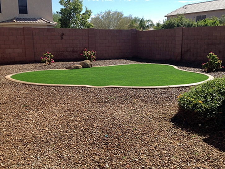 Turf Grass East Fultonham, Ohio Landscaping, Backyard Landscaping