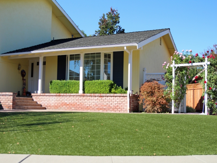 Turf Grass Leesville, Ohio Landscape Ideas, Front Yard Design