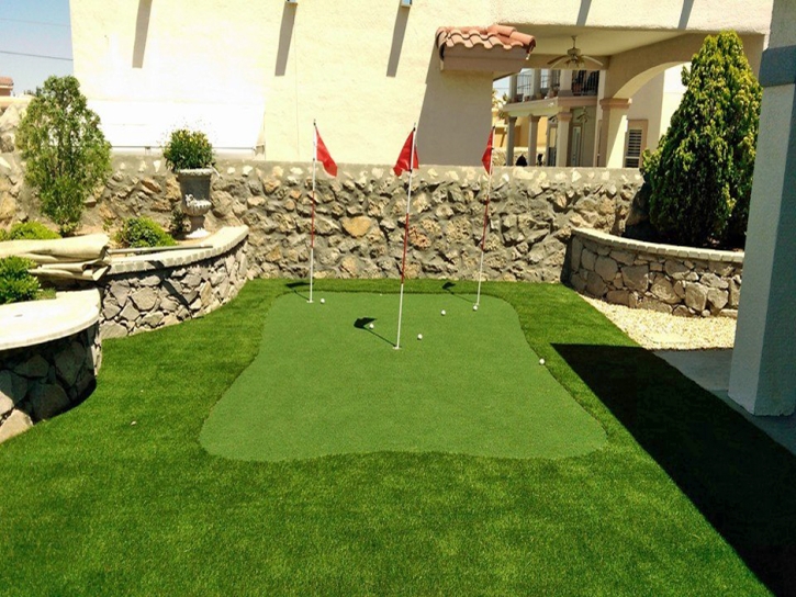 Turf Grass Troy, Ohio Putting Green Carpet, Backyard Design